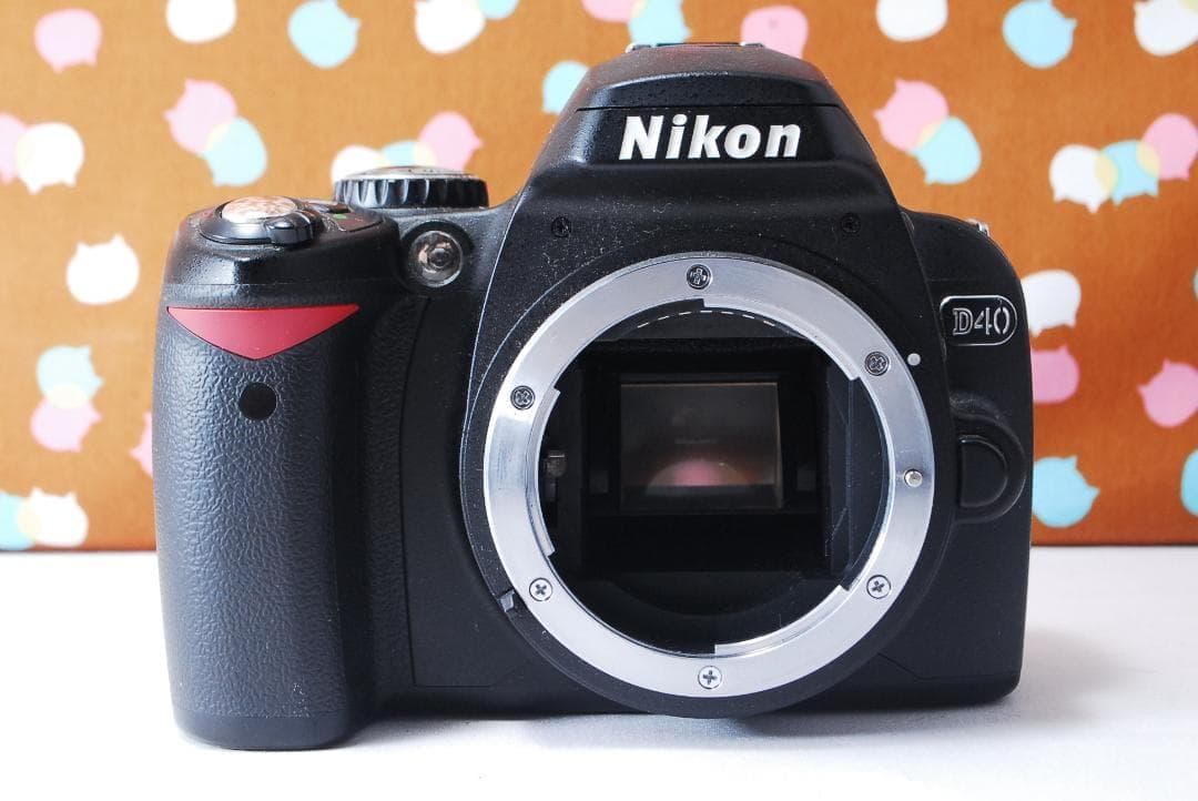 ✨ショット数3295回✨望遠レンズ付き✨Nikon D40 レンズセット - メルカリ