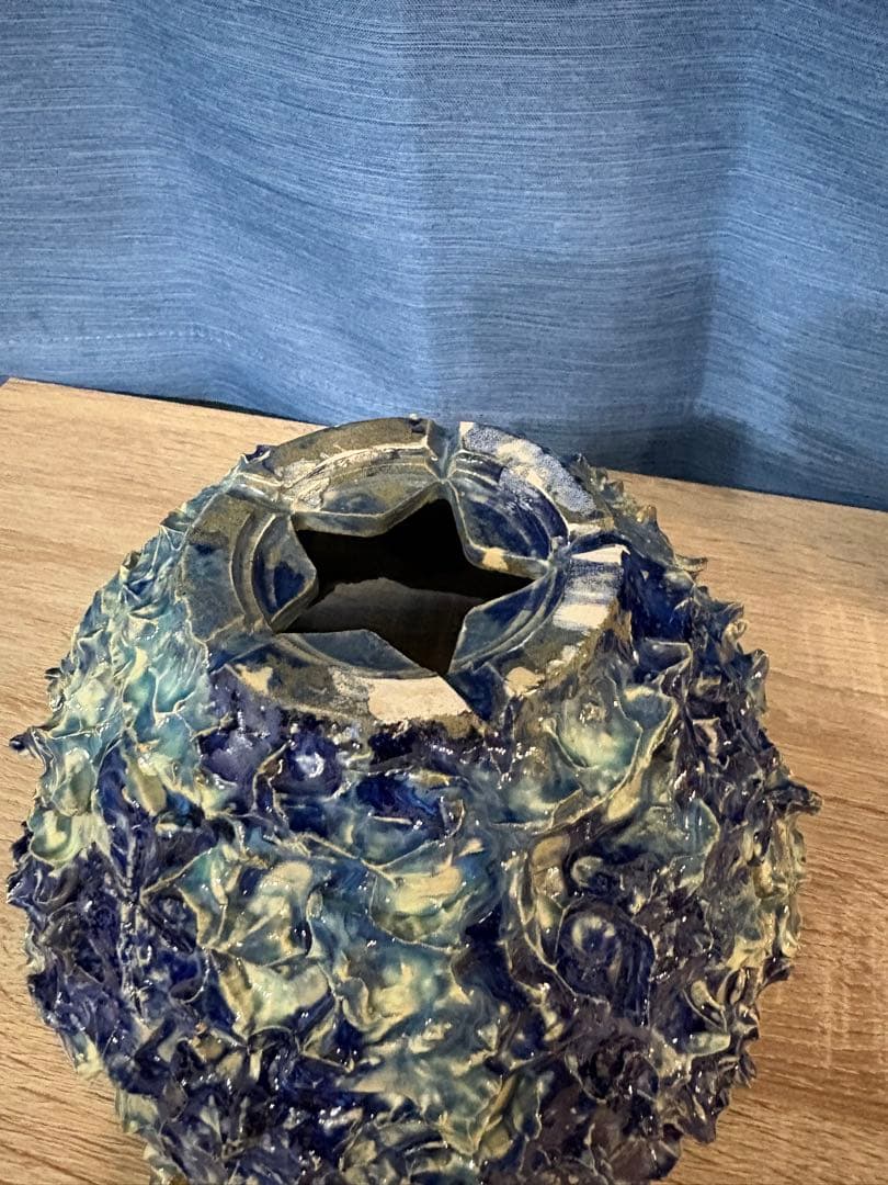 soil skills design SSD鉢植木鉢 陶器鉢 アガベ 塊根 大鉢 - メルカリ