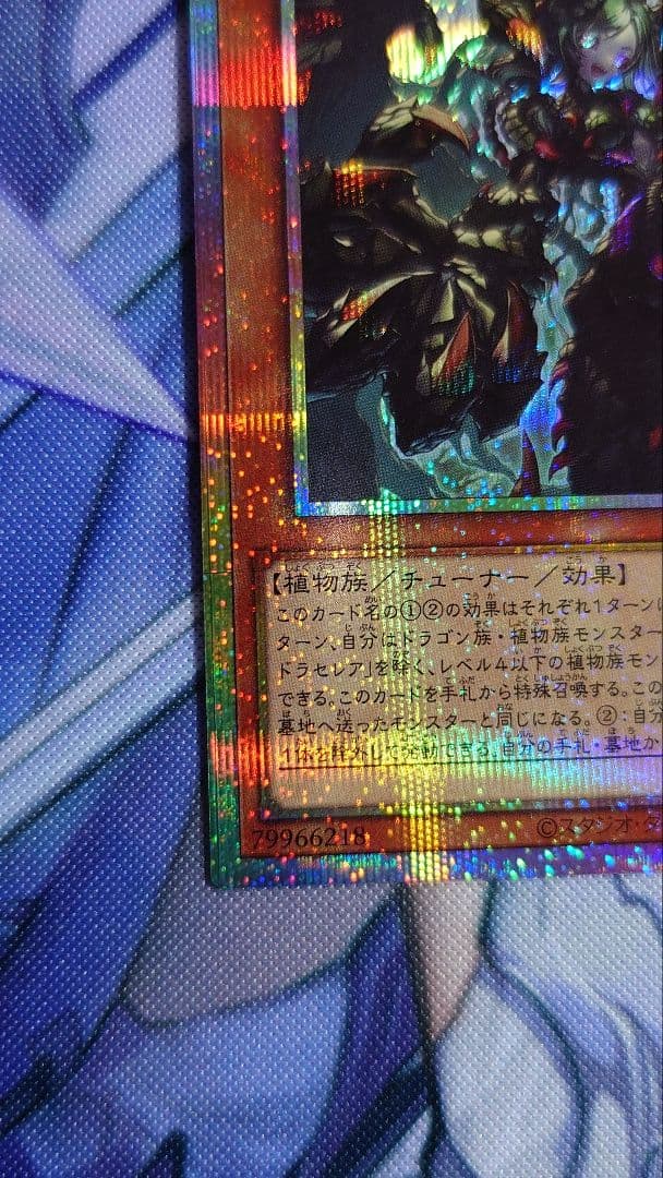 遊戯王 血樹竜姫ドラセレア プリシク - メルカリ