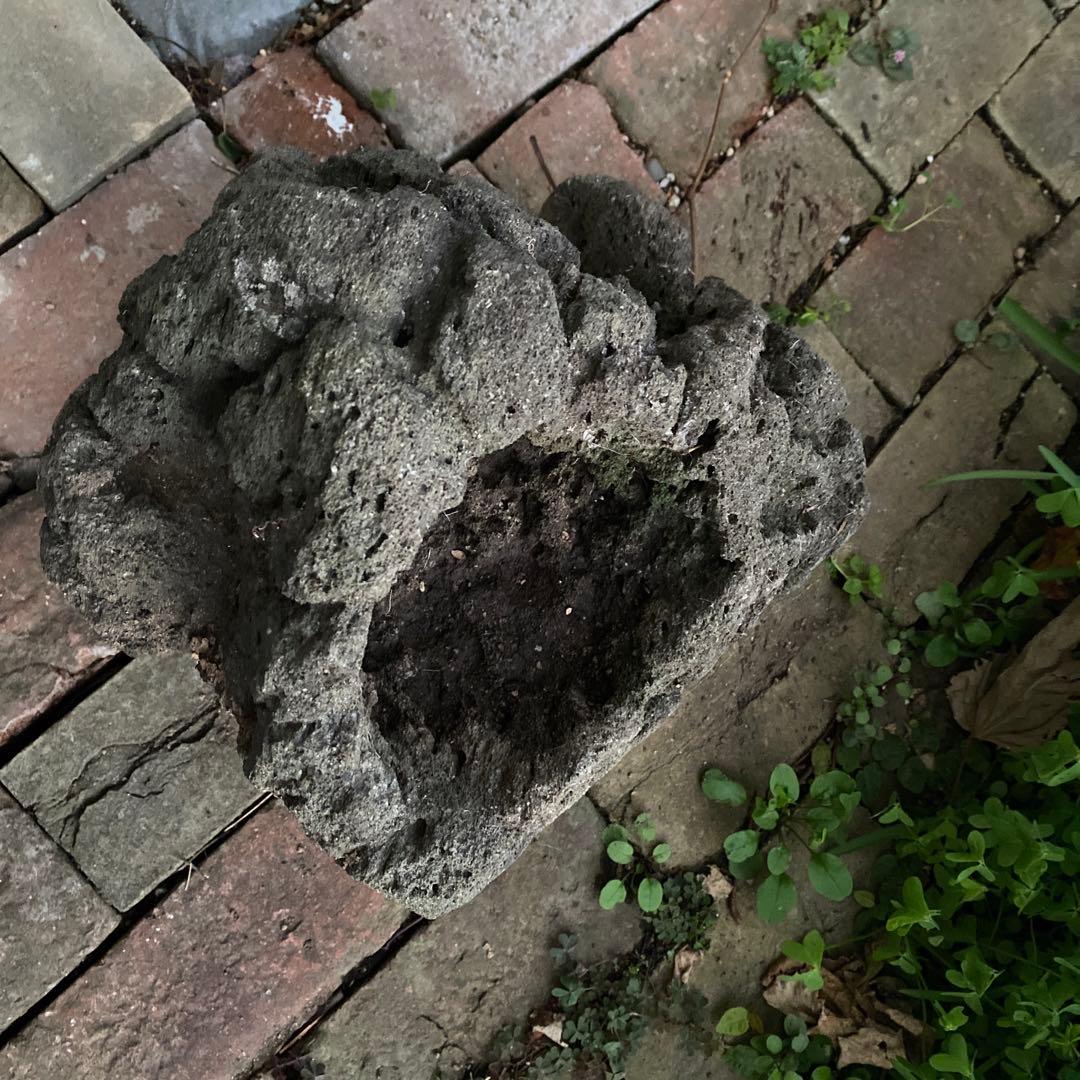 植木鉢 庭石 ロックガーデン 岩 溶岩石 オブジェ - メルカリ