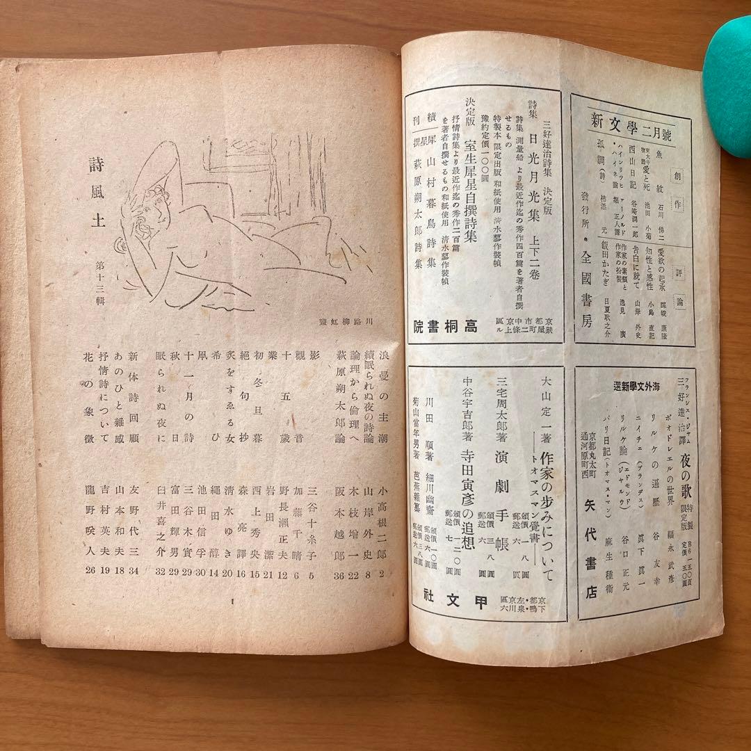 貴重】詩誌「詩風土」22冊 不揃い 臼井書房発行 - メルカリ