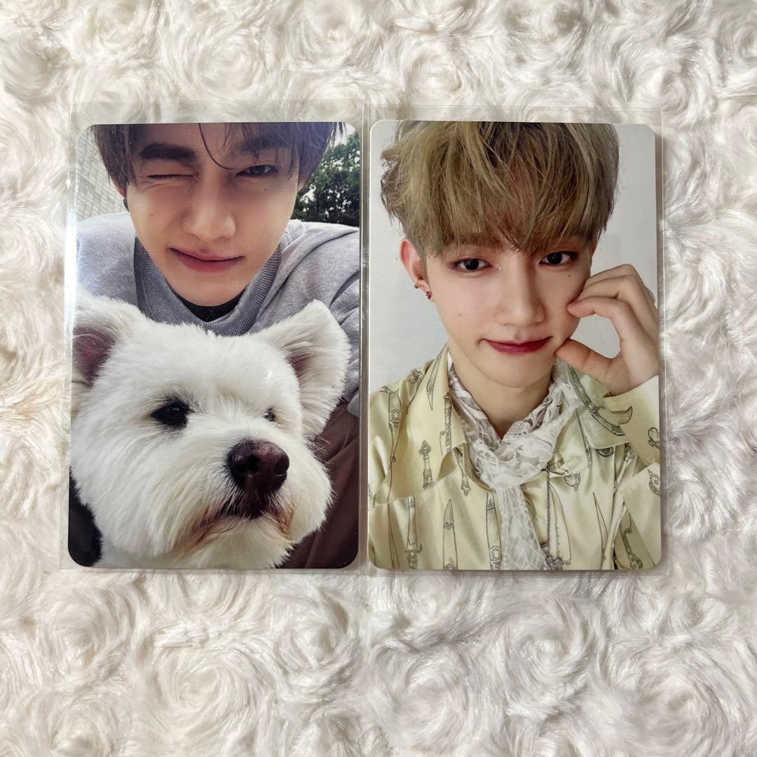 ZB1 ジャンハオ トレカ セット 封入 レオ - メルカリ