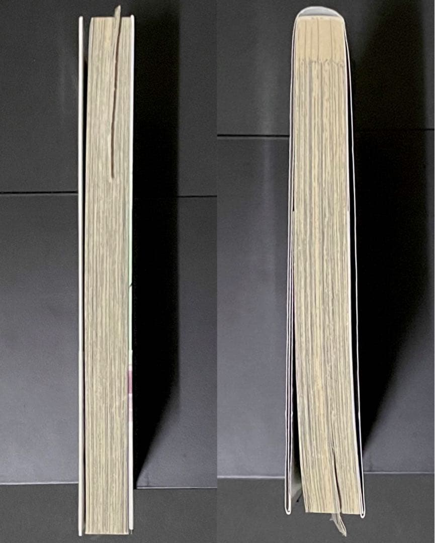 薬屋のひとりごと 1巻・エラーコミック