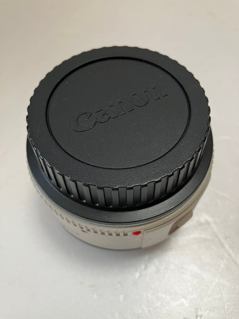 Canon Extender EF 1.4x、LP811ポーチ