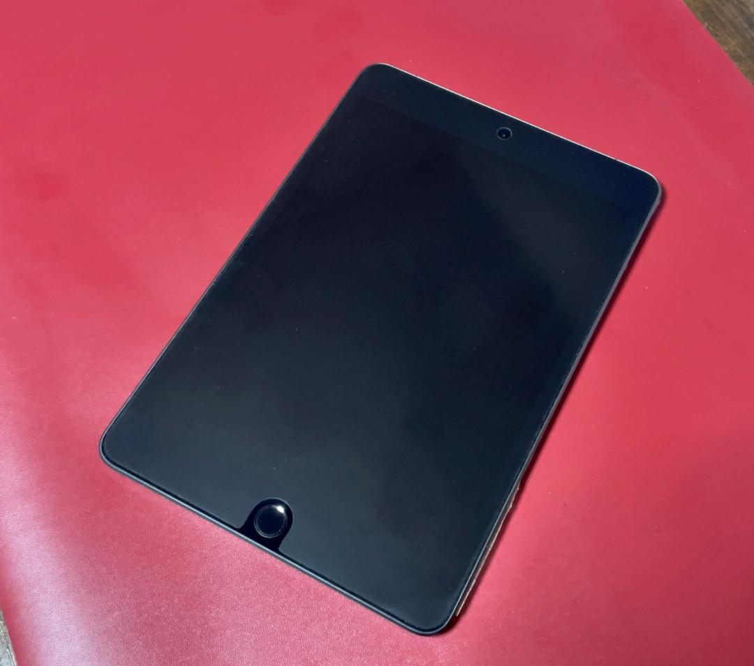 iPad mini5 Wi-Fi+Cellular 256GB 大容量 セルラー iPad mini 5 Wi-Fi + Cellular 256GB - スペースグレイ [整備済製品