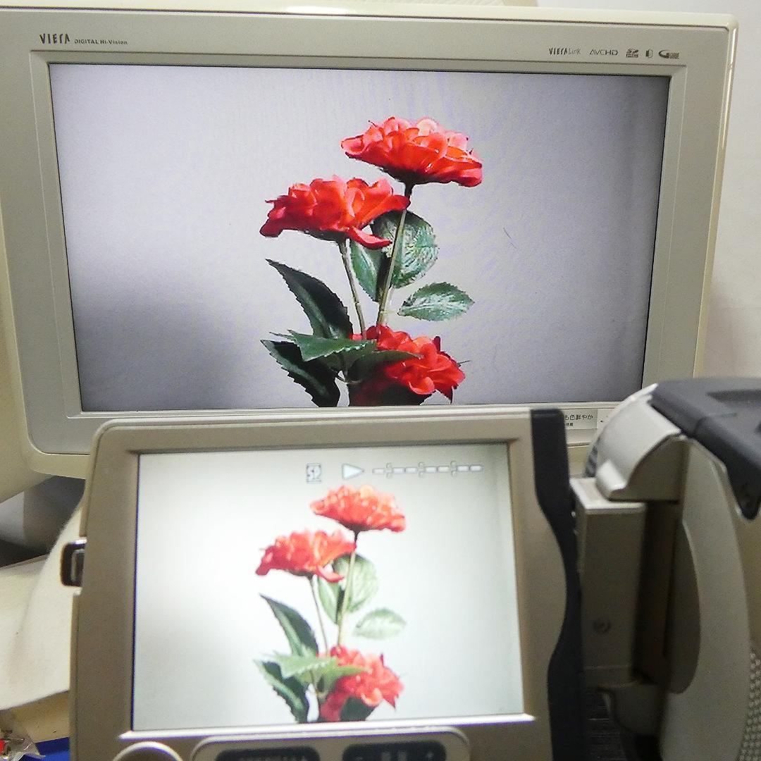 ソニーDCR-TRV30 【動作良好】MiniDV ビデオカメラ ダビングに最適