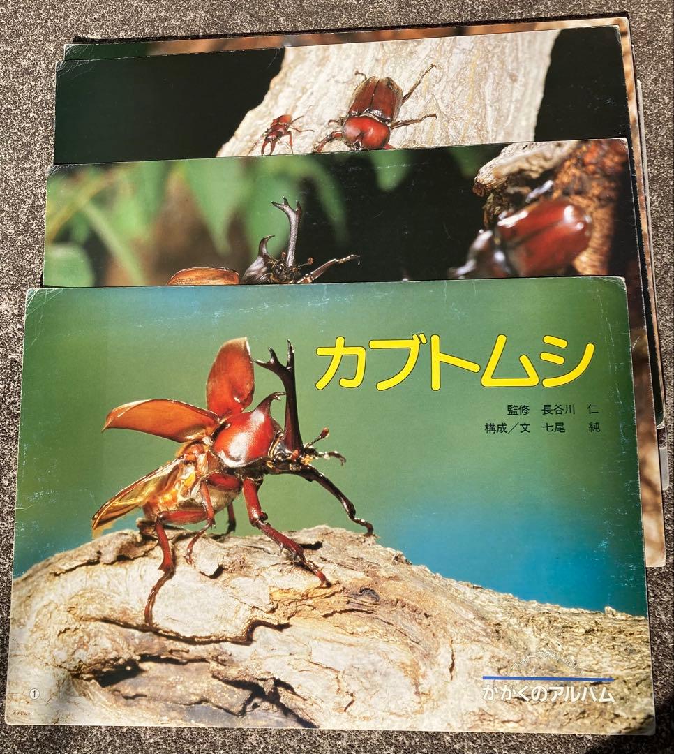 フォトかみしばい かがくのアルバム 全17巻セット あかね書房