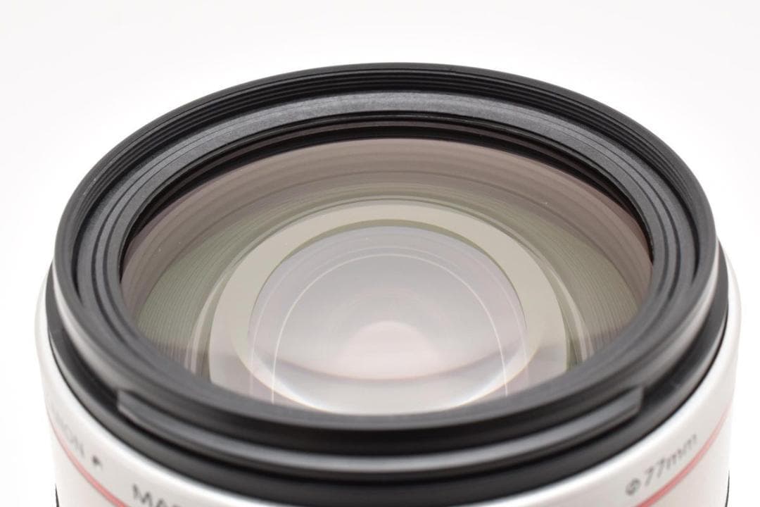 Canon EF 28-300mm F/3.5-5.6 L IS USM 現状