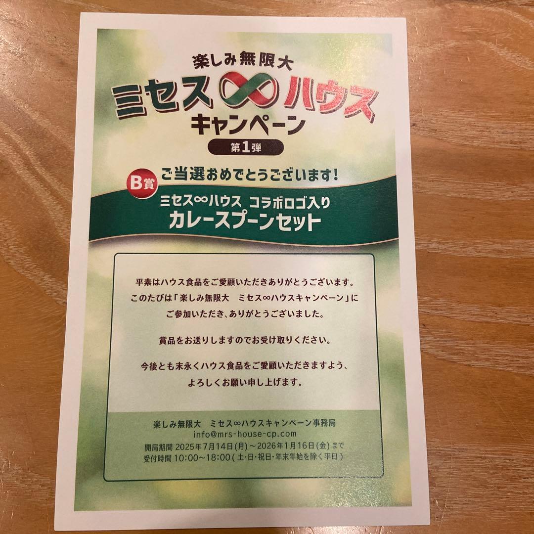 ゆ*き様 ミセスグリーンアップルロゴ入り カレースプーンセット - メルカリ