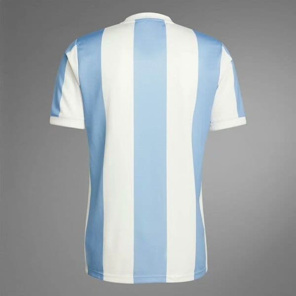 アニバーサリー ユニフォーム アルゼンチン代表 50th サイズXL - メルカリ