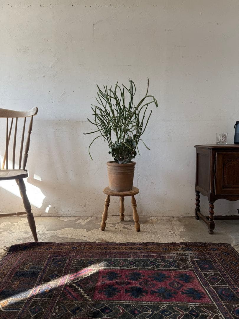 ビンテージ ディスプレイ台　フラワースタンド　花台　剥離 楽天市場】【SS限定｜最大8,000円OFFクーポン】ポットスタンド 花瓶