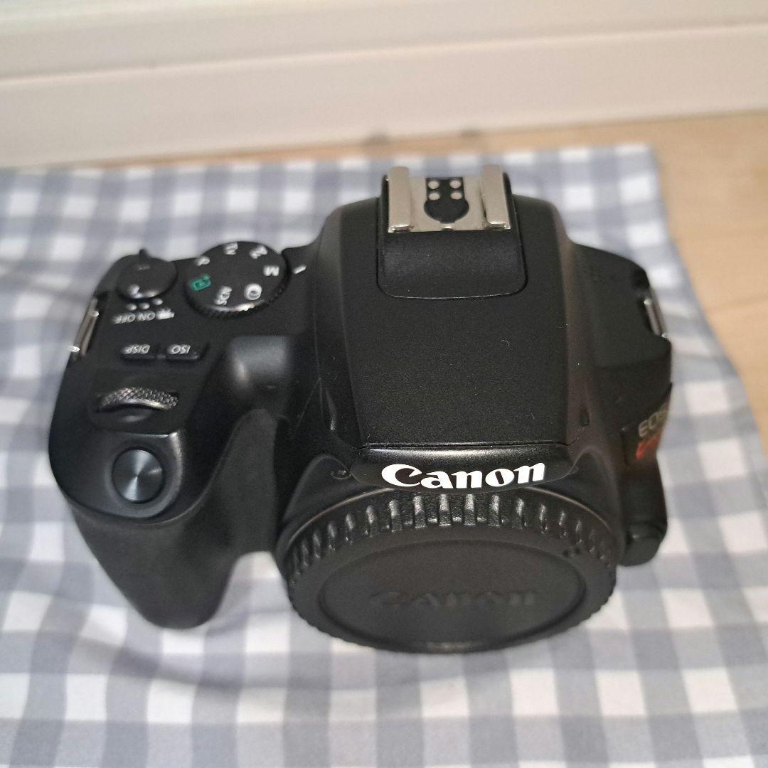 Canon EOS kiss x10+EF-S 18-55mm stm 動作ok