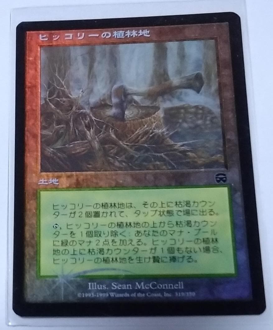 MTG【Foil】MMQ ヒッコリーの植林地/Hickory Woodlot日語 - メルカリ