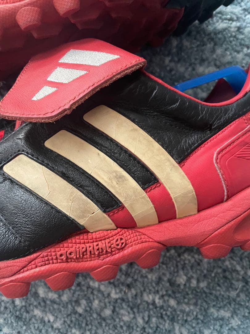 プレデターマニア トレシュー 26cm - メルカリ