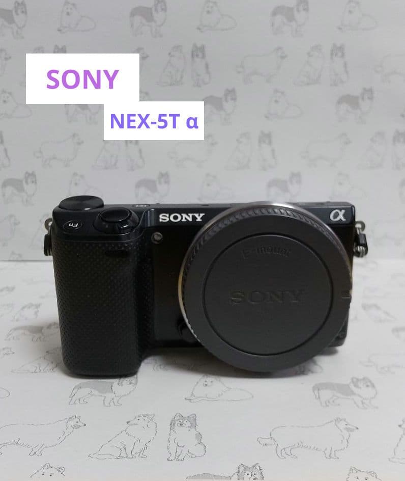 【RS78】SONY NEX-5T α デジカメ 本体 ソニー、NFCを搭載したミラーレス一眼カメラ「NEX-5T」 - 価格.com