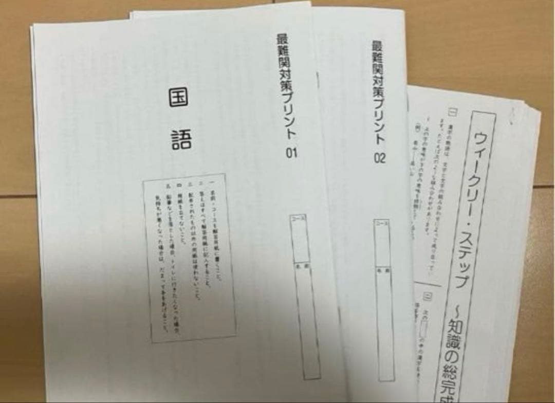 小6 国語 デイリーサピックス 24回分+春期講習•夏期講習 ウィークリー