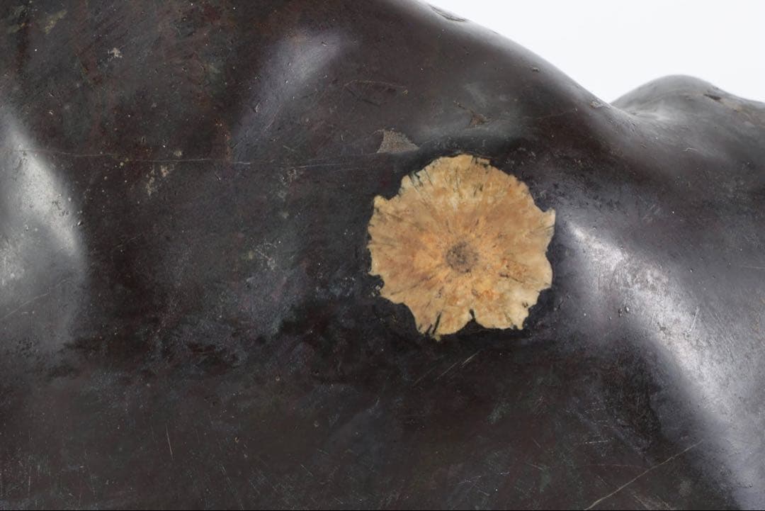 菊花石 花紋石 黒母岩 台座付 2.2kg 鑑賞石 自然石 原石 水石 盆石