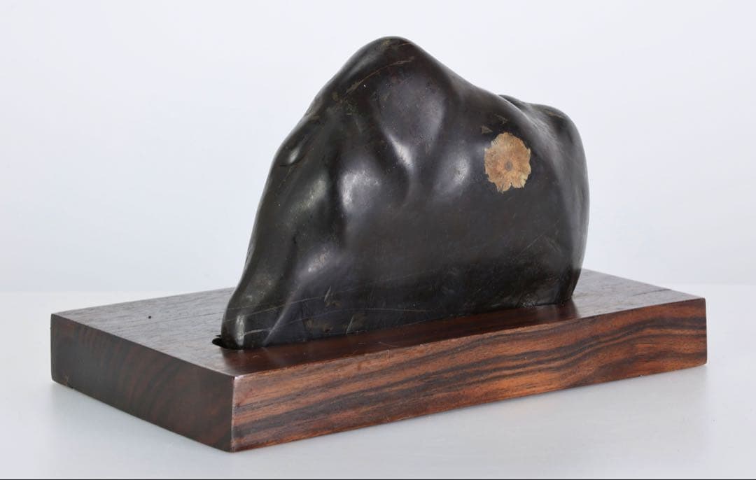 菊花石 花紋石 黒母岩 台座付 2.2kg 鑑賞石 自然石 原石 水石 盆石