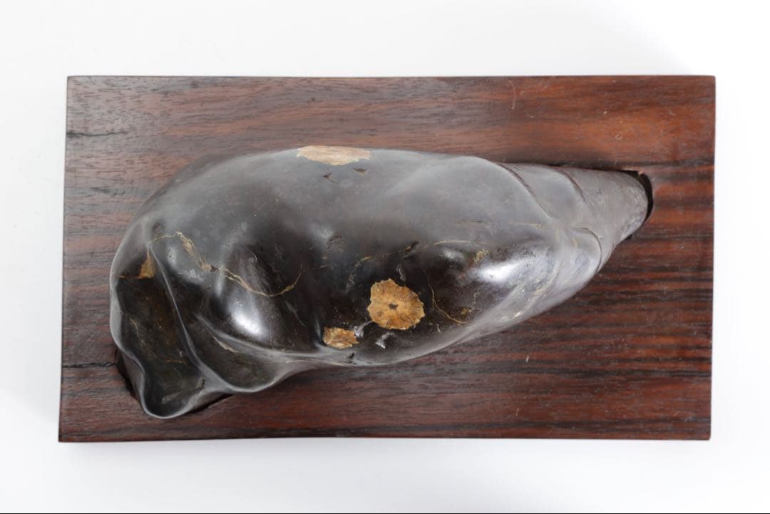 菊花石 花紋石 黒母岩 台座付 2.2kg 鑑賞石 自然石 原石 水石 盆石