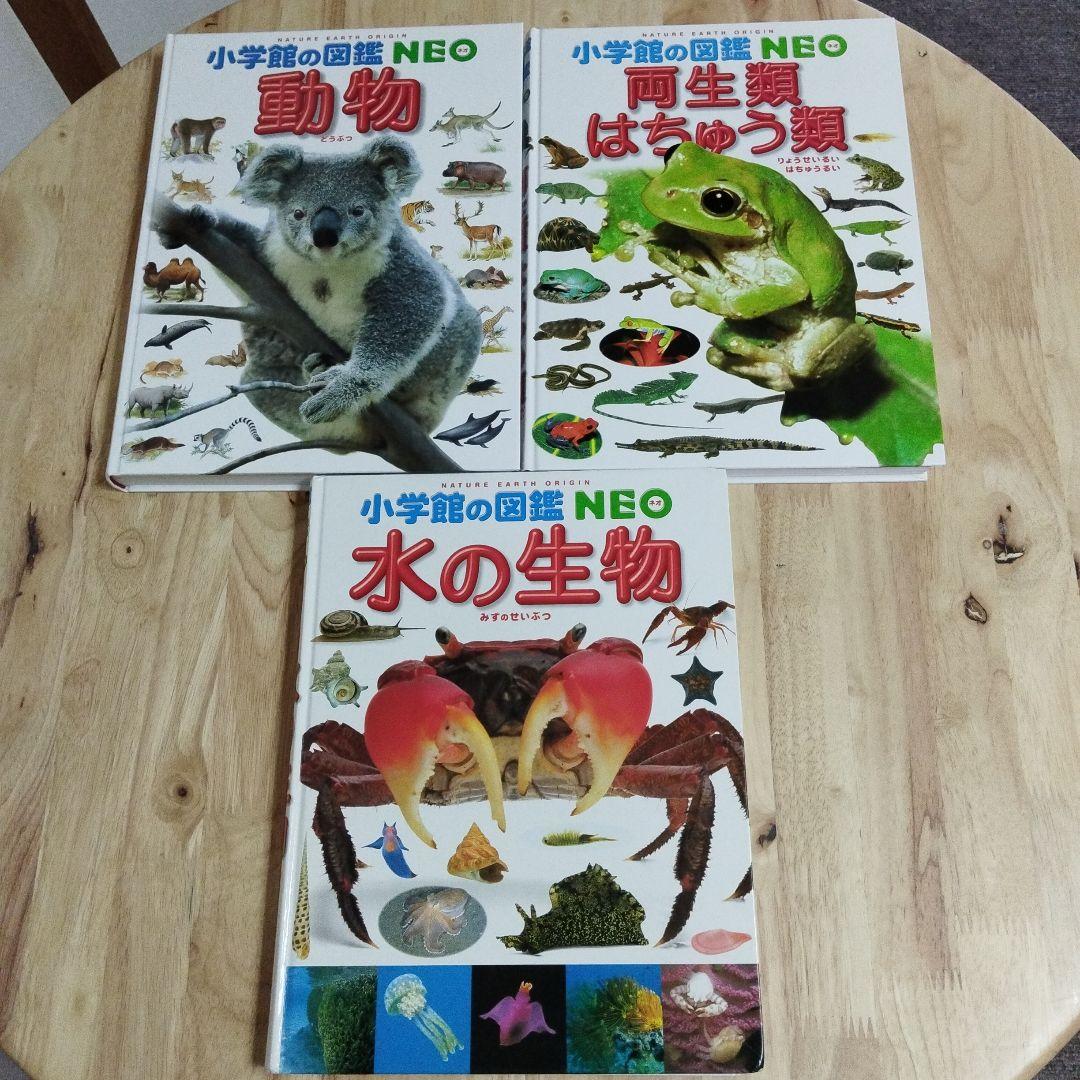 小学館の図鑑NEOシリーズ 10冊セット - メルカリ