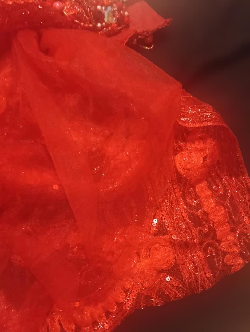 【新品Sale】エジプト製デザイナーズベリーダンス衣装セット赤《花》