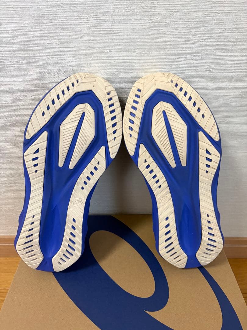 【使用1km】ASICS NOVABRAST5 ノヴァブラスト5 25.0cm