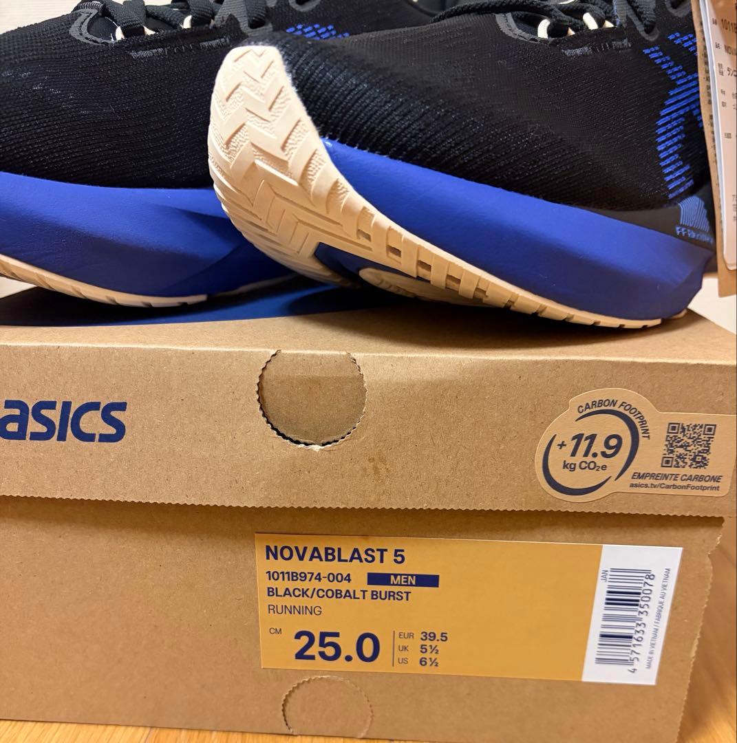【使用1km】ASICS NOVABRAST5 ノヴァブラスト5 25.0cm