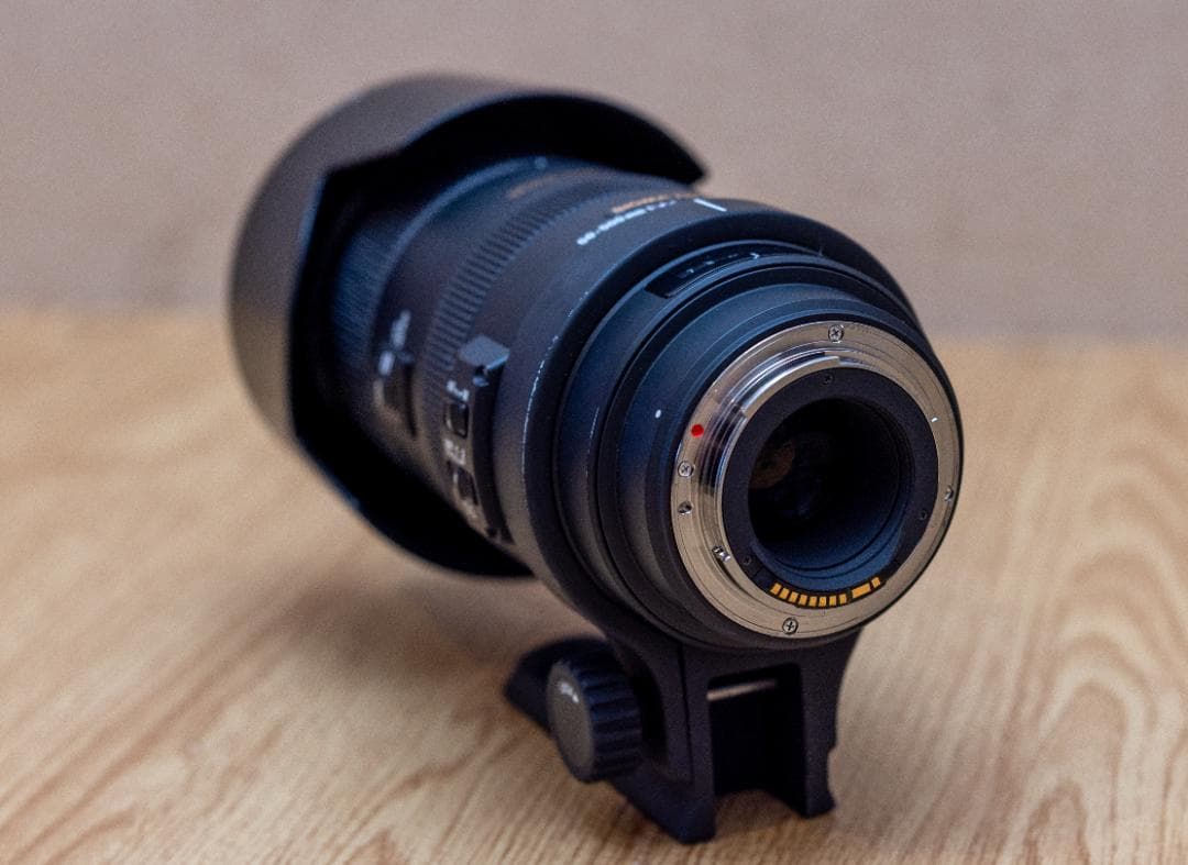 美品！SIGMA 50-500mm F4.5-6.3 HSM Canon EF