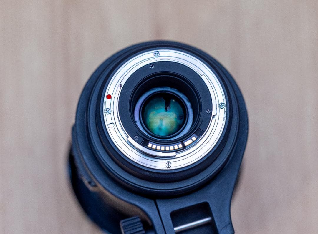 美品！SIGMA 50-500mm F4.5-6.3 HSM Canon EF