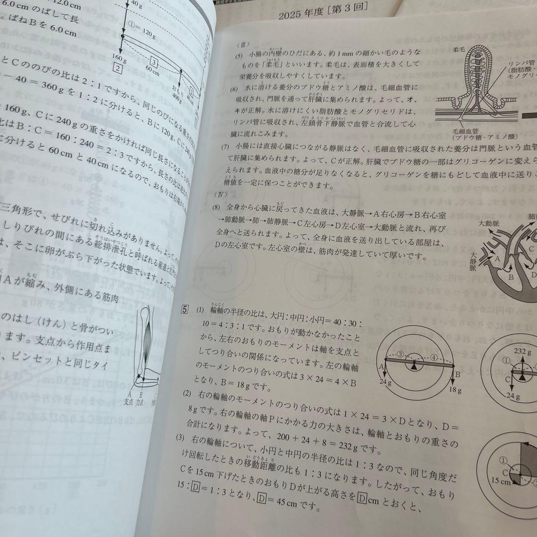 中学受験 模試 問題 解答 解説 小学校 6年生 啓明館 - メルカリ