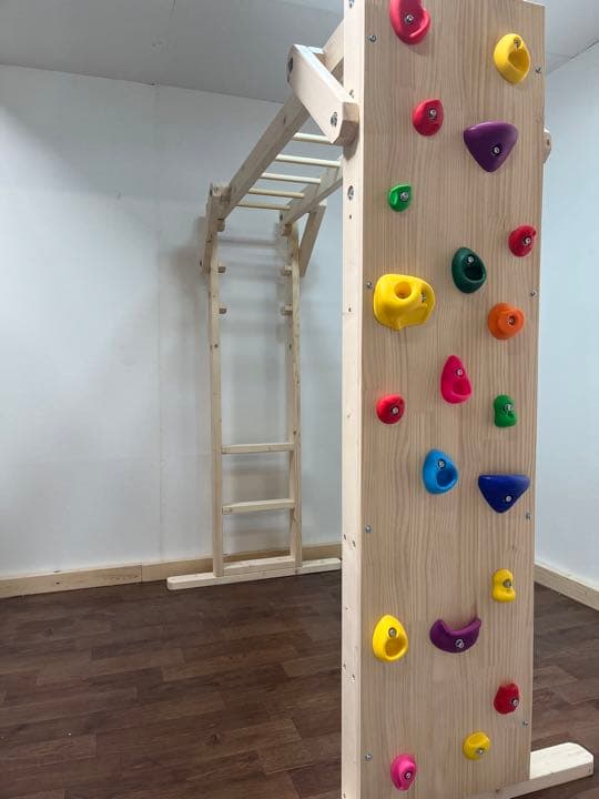 タイプB ブレキエーション 雲梯 うんてい 遊具 知育玩具 室内遊具 運動