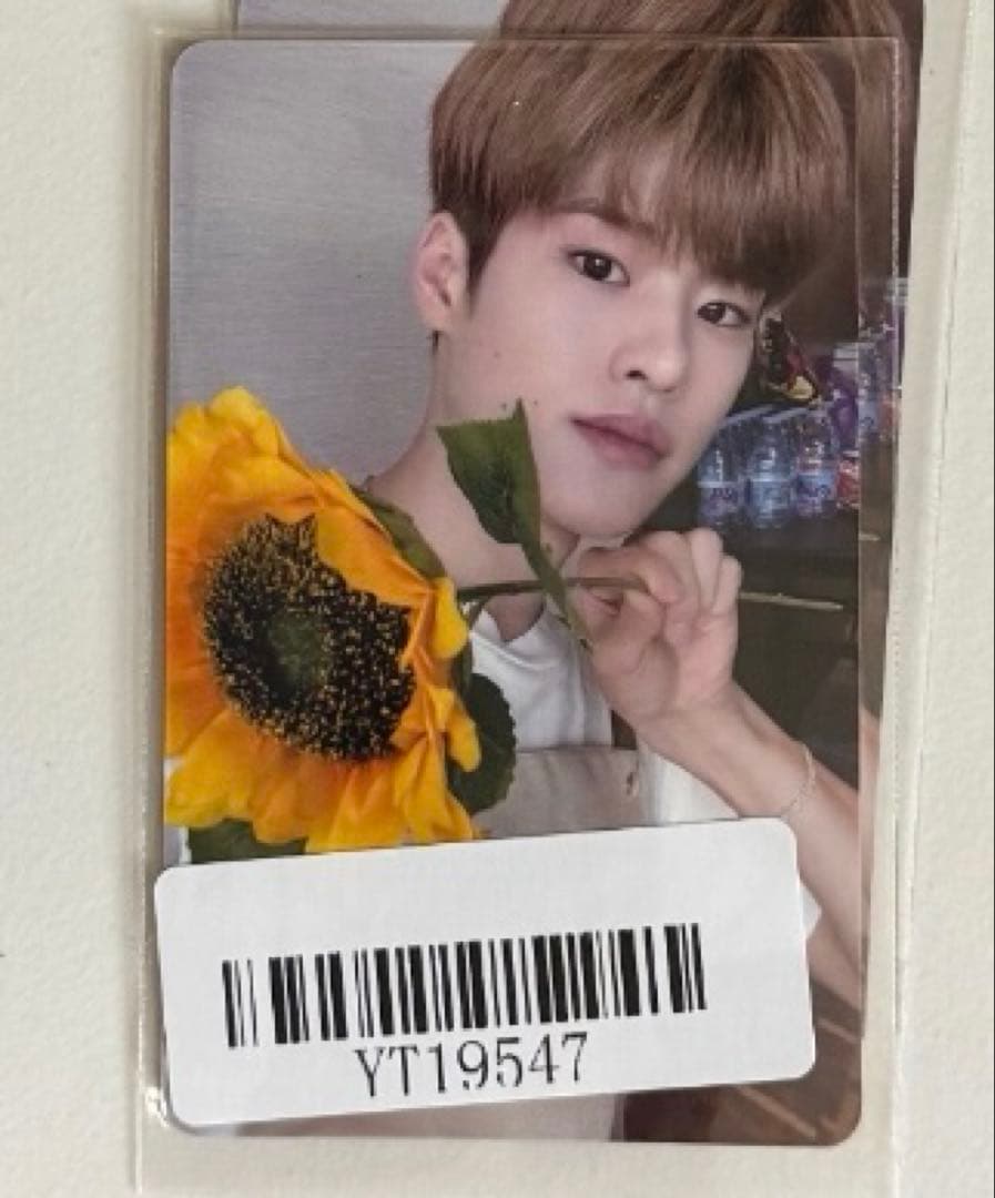 RIIZE ソヒ Fame 広州当選数量限定 1日店長 トレカ - メルカリ