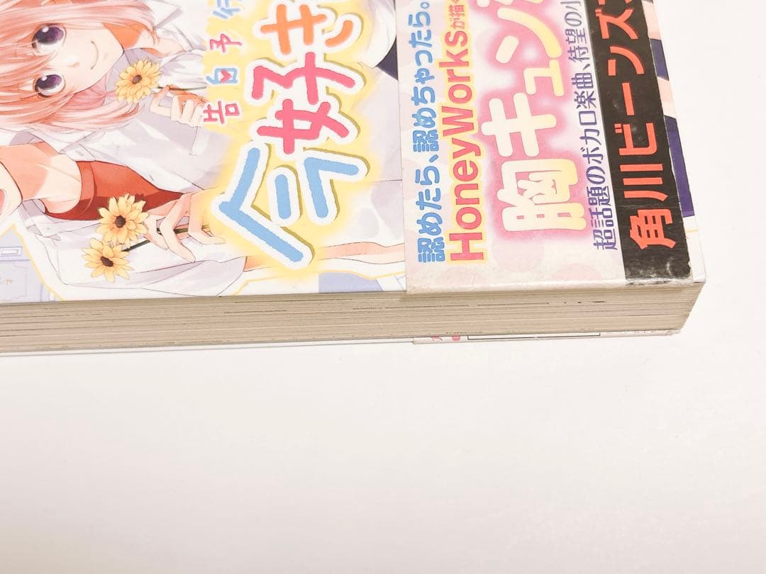 HoneyWorks ハニワ 小説 - メルカリ