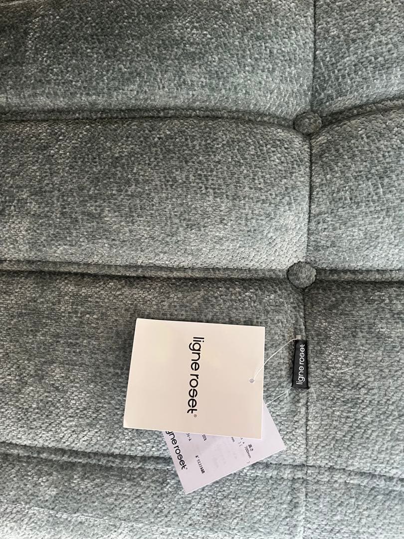 SALE❗️ligne roset ROSETTOGO 2P グリーン ブルー - メルカリ