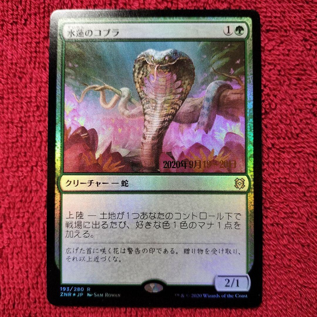 水蓮のコブラ プレリリース Foil レア ゼンディカーの夜明け ZNR MTG