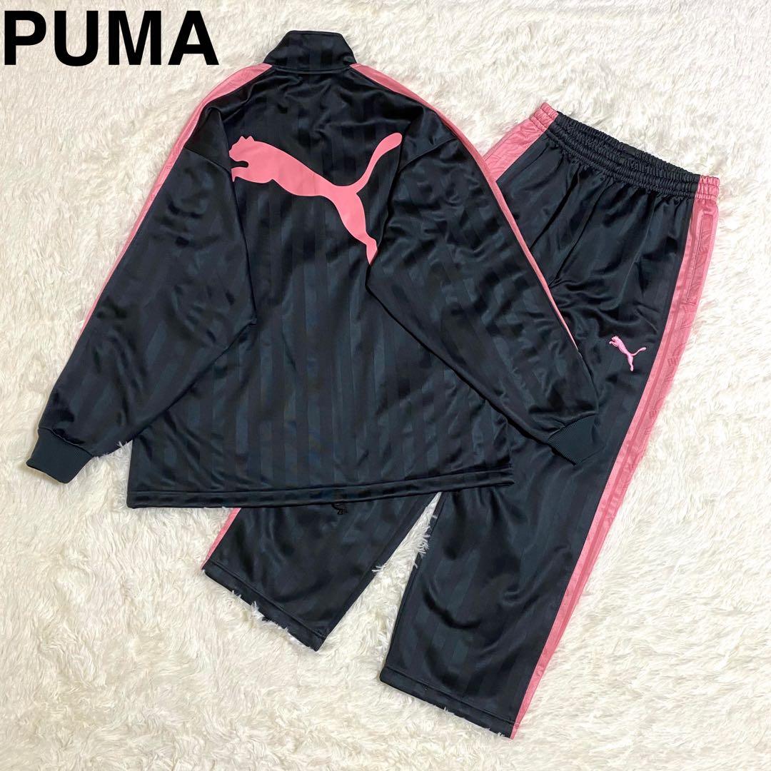 プーマ ジャージ セットアップ 上下 刺繍ロゴ プージャ チャコール