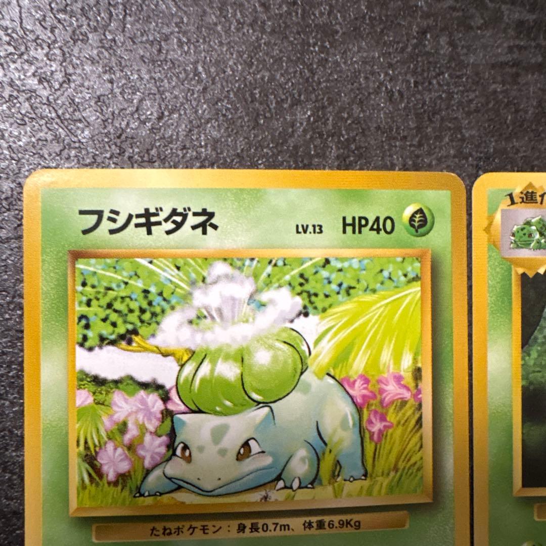 ポケモンカード 旧裏 フシギダネ フシギソウ 初版 マークなし - メルカリ