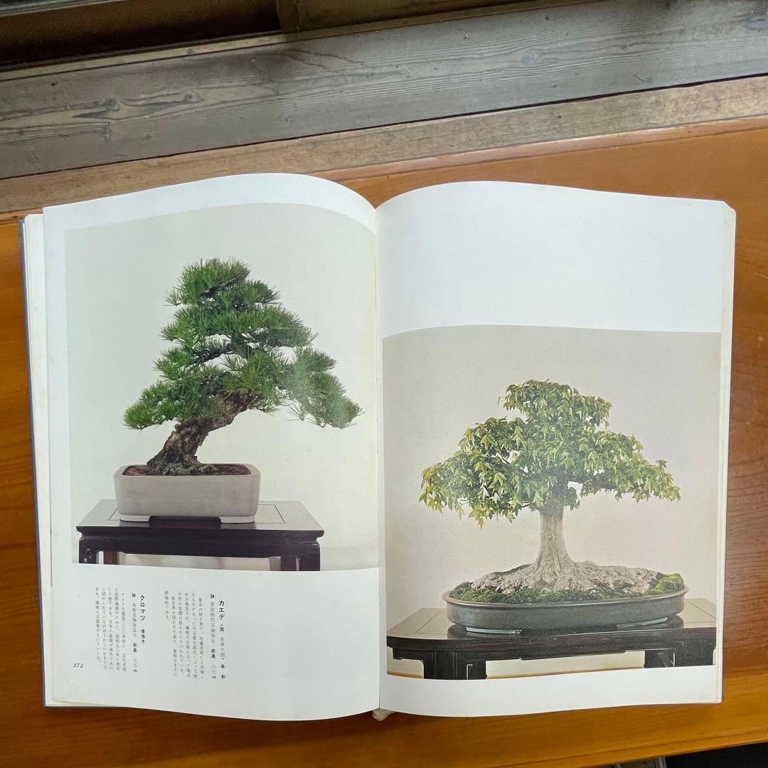松柏盆栽大観 BONSAI MASTERPIECES OF CONIFERS - メルカリ