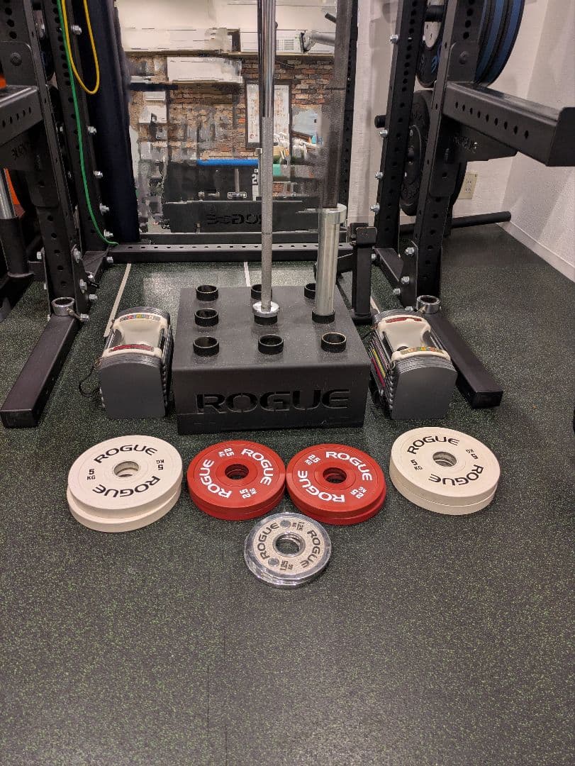 秘*地様 期間限定引き取り値引き Rogue ハーフラック パワーラック一式