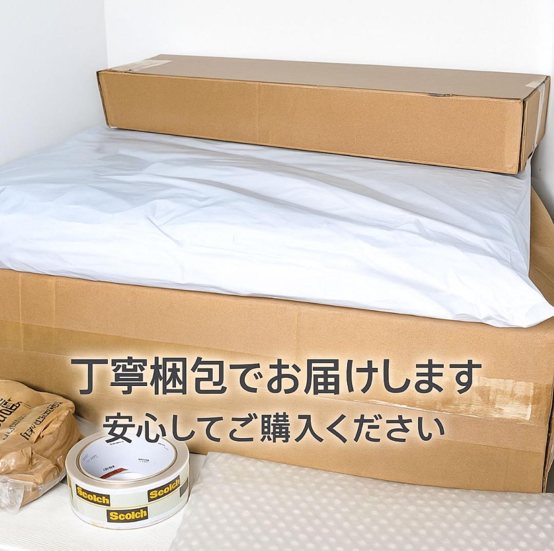 ポケットモンスター バイオレット -Switchpo