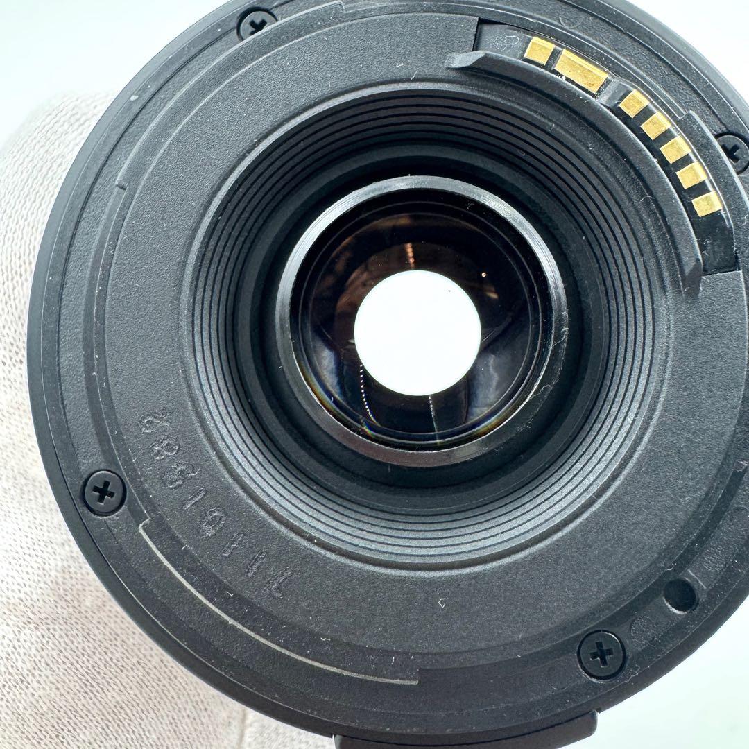 Canon EF 90-300mm F4.5-5.6 USM 超望遠ズームレンズ