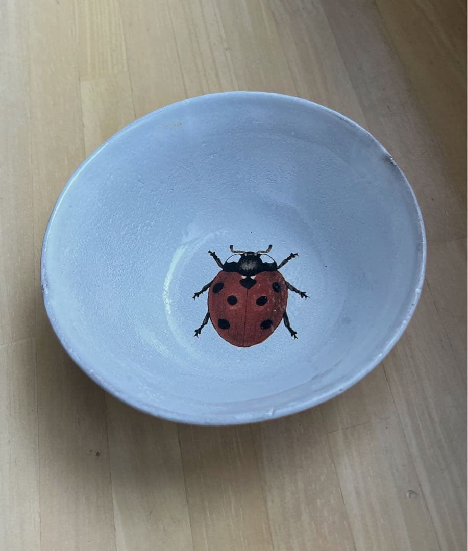 John Derian Ladybug スモールスーププレート 14.5cm