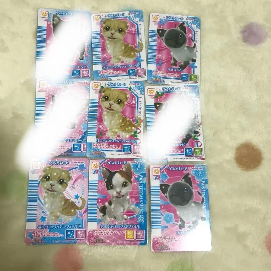 ワンタメカード ゲストカードねこ3種 - メルカリ