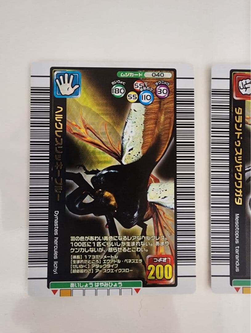 ムシキング 2005夏限定バージョン タランドゥスツヤクワガタ他