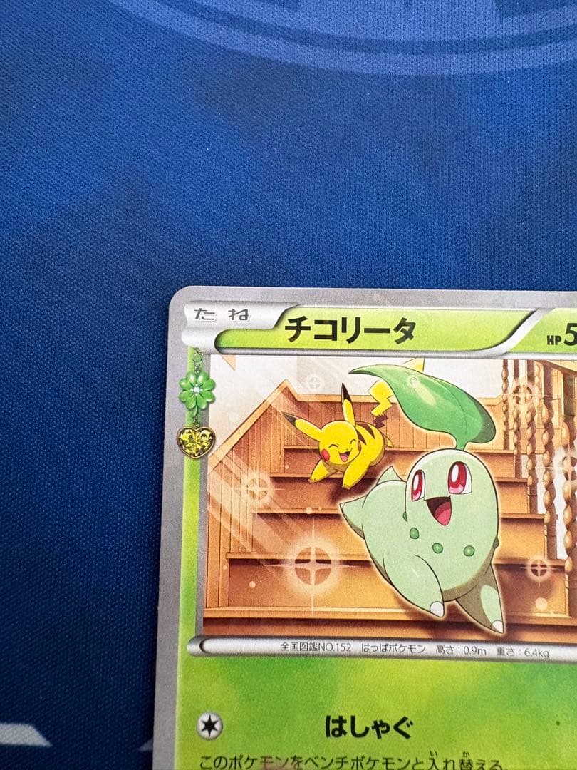 ポケカポケモンカードXYポケキュンコレクションチコリータピカチュウ