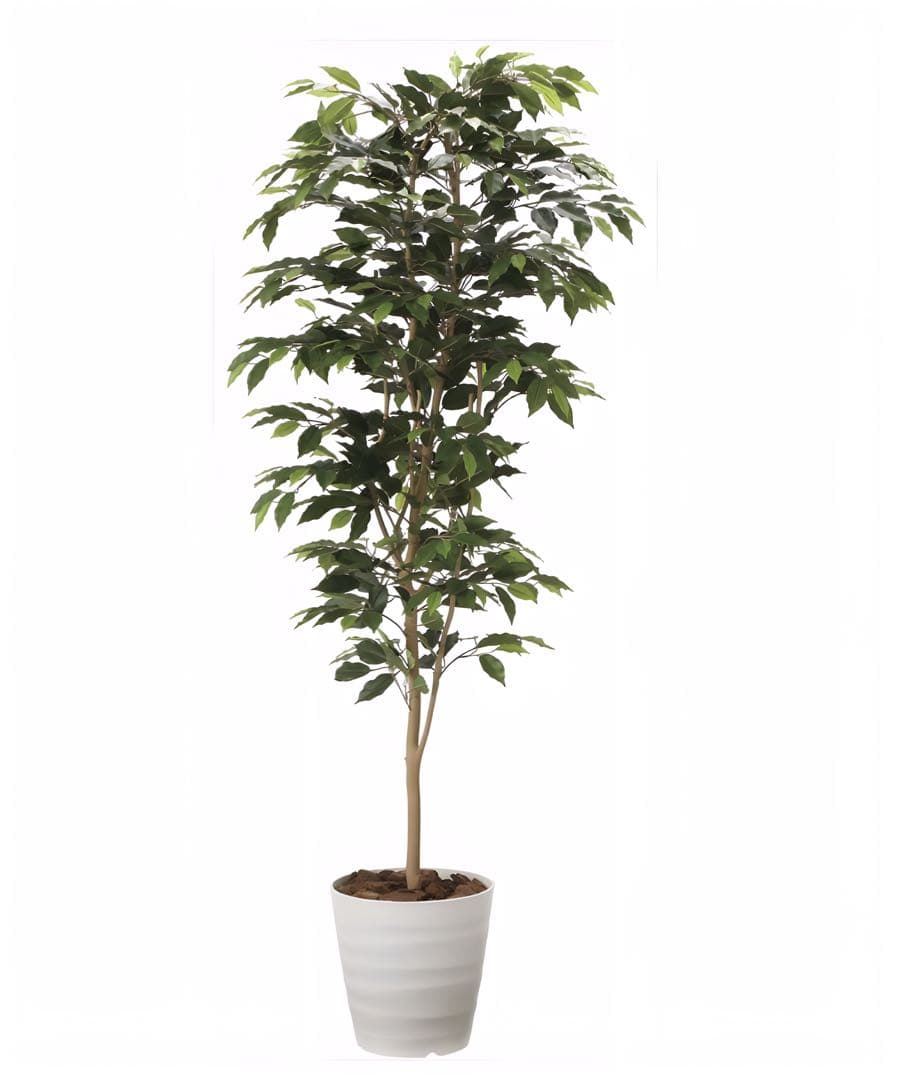 光触媒　人工観葉植物　フェイクグリーベンジャミン 高さ 1.8m