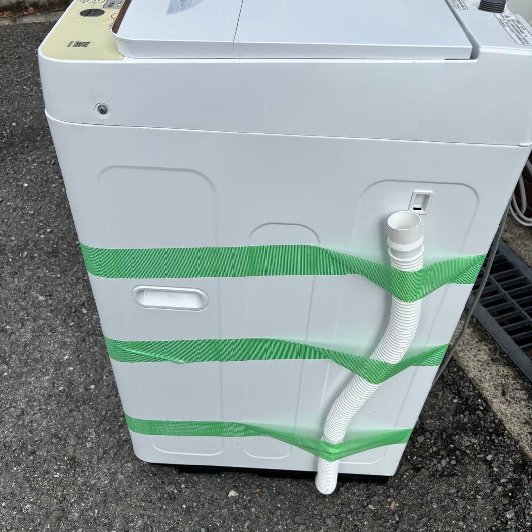 Hisense 5.5kg 全自動洗濯機 HW-55E2W◇2023年製