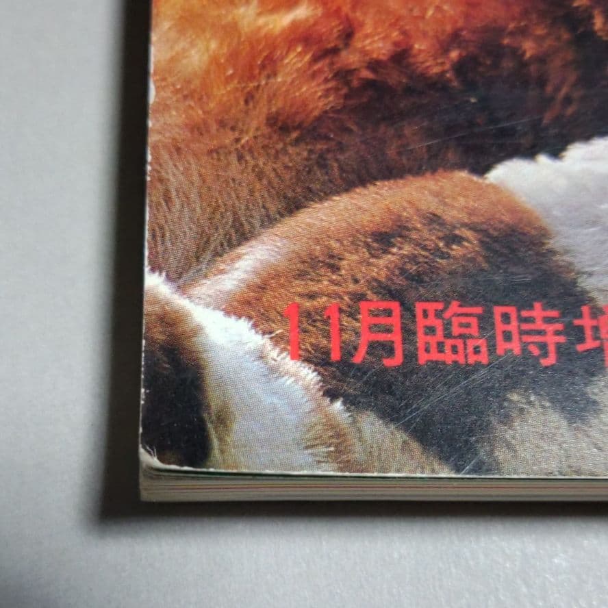 太陽'81 臨時増刊 特集決定版 犬歳年賀状図案1001集 希少昭和本