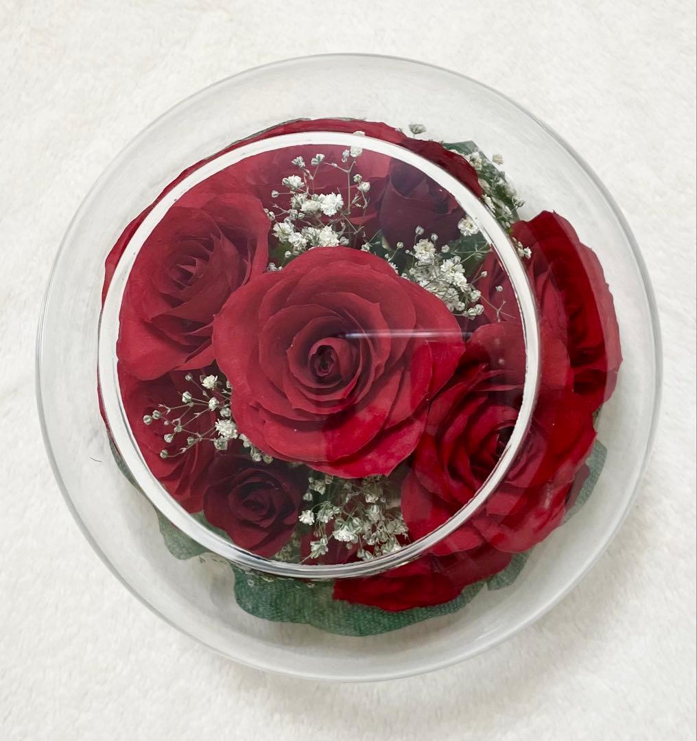 レンデフロール プリザーブドフラワー アレンジメント バラ11本 かすみ