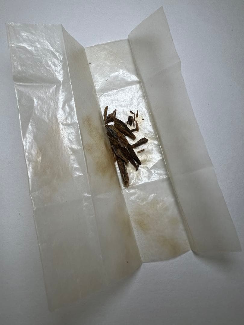 古渡命銘木 伽羅・白菊（一木四銘）0.255g 香木　香道〔お香＇沈香＇伽羅〕